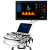 Chison Qbit 12 Аппарат УЗИ Chison Qbit 12 Аппарат УЗИ